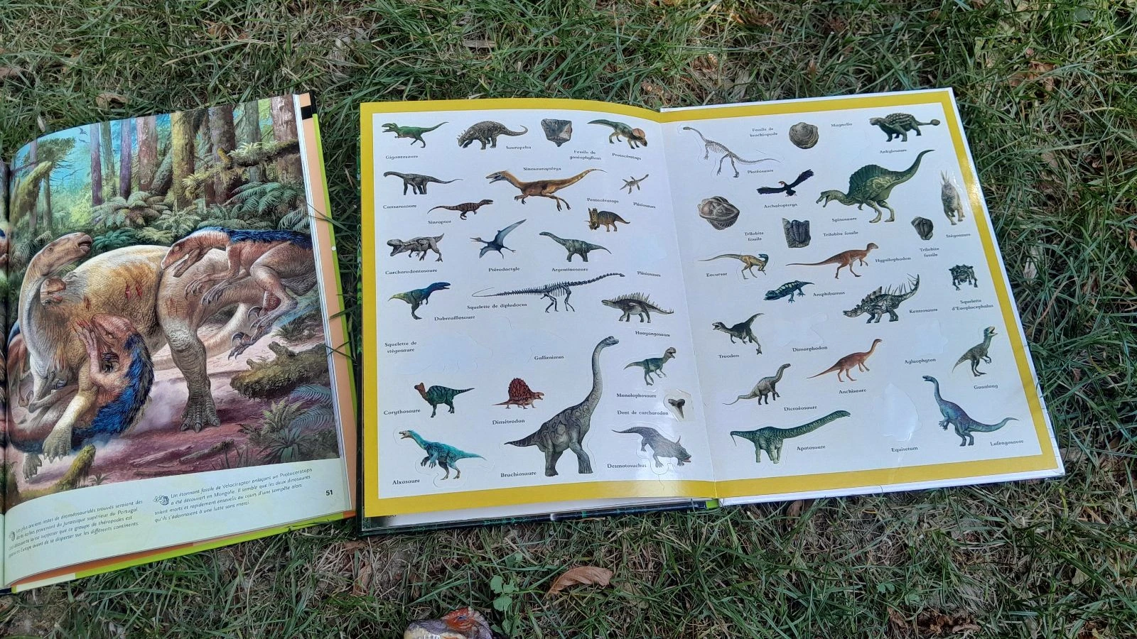Nice dinosaur-themed set – photo 4